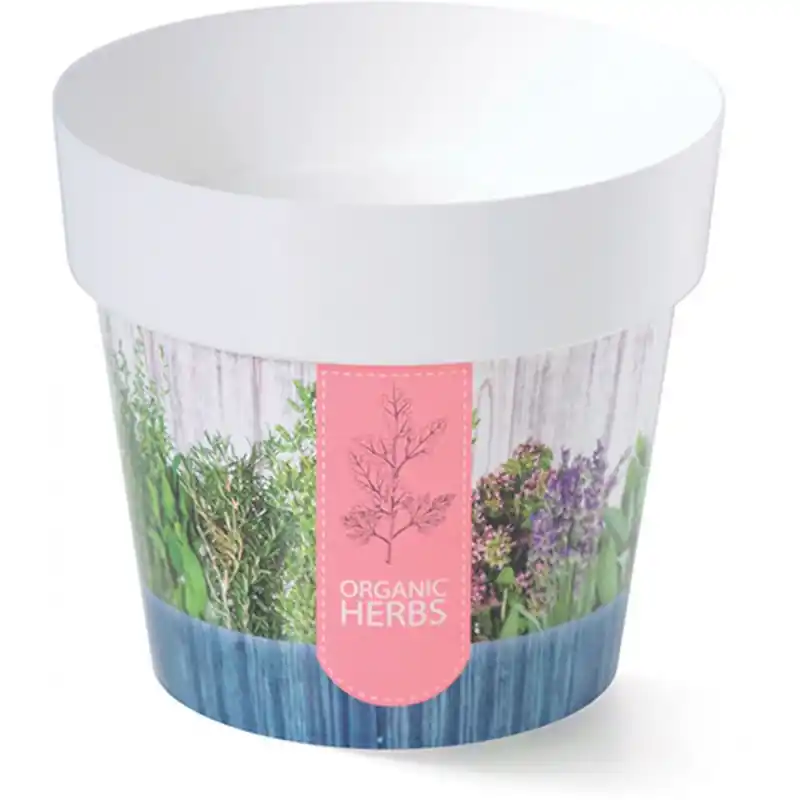 Meistverkauft PROSPERPLAST Blumentopf Übertopf IML 12 cm Kräuter Organic H2 DML120