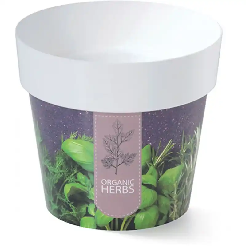 PROSPERPLAST Blumentopf Übertopf IML 12 cm Kräuter Organic, DML120-H1 Schneller Versand