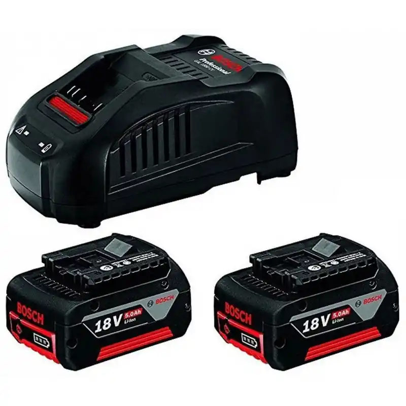 Begrenztes Angebot BOSCH 2× GBA 18V 5.0AH + GAL 1880 CV PROFESSIONAL Starter-Set 1600A00B8J