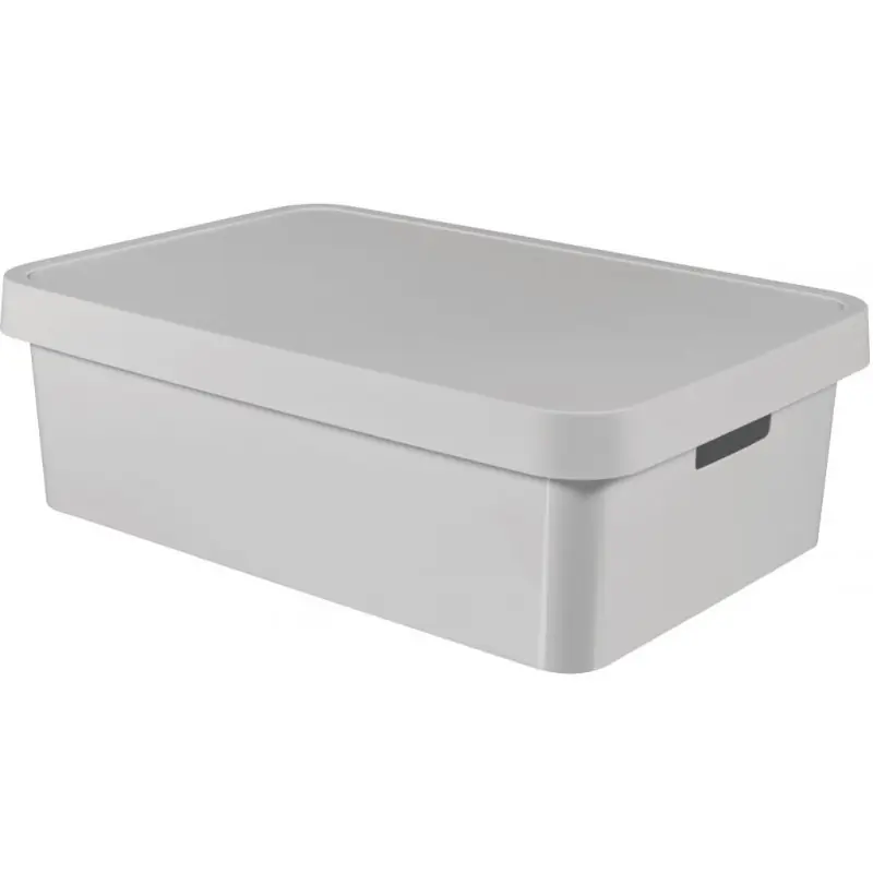 CURVER INFINITY 30L Aufbewahrungsbox mit Deckel 56 x 18 x 39 cm grau 01718-099 Angebot