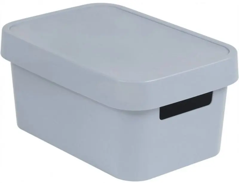 Preis Gesenkt CURVER INFINITY 4,5L Aufbewahrungsbox mit Deckel 27 x 12 x 19 cm grau 04746-099