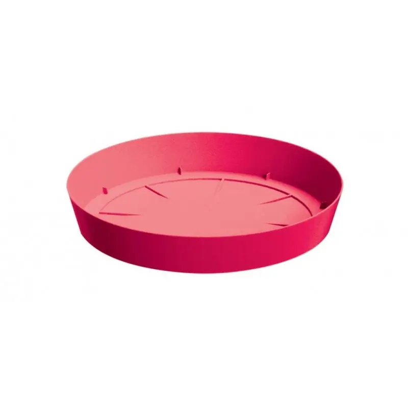 Highlight PROSPERPLAST LOFLY Untersatz 10,5x1,5cm himbeere PPLF105