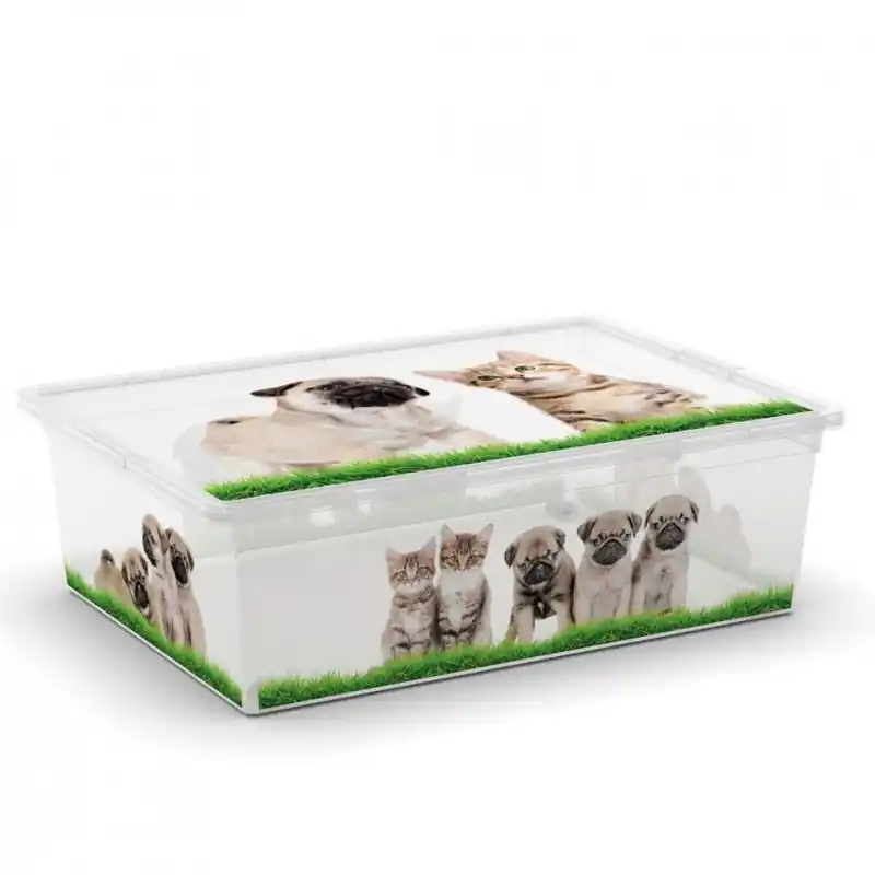 Schneller Versand KIS C BOX PUPPY KITTEN L 55x38,5x16,5cm 27L