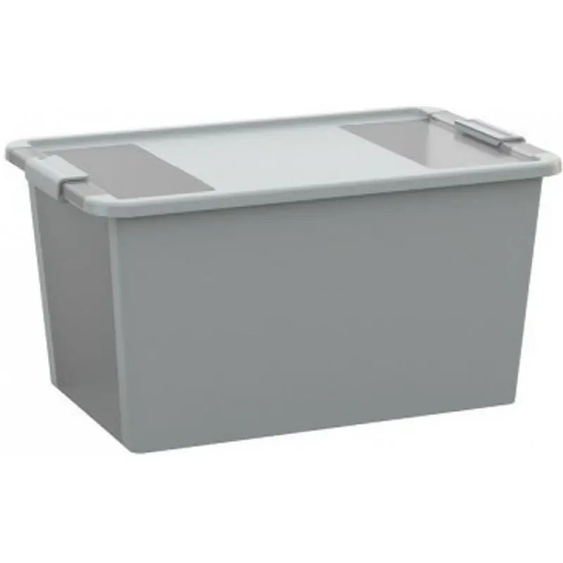KIS BI BOX L 40L 55x35x28cm grau/transparent Expressversand