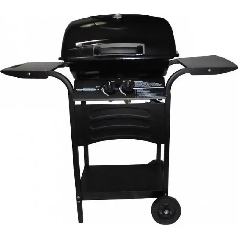 Meistverkauft FIELDMANN FZG 3002 Gasgrill 2 Brenner 41009374