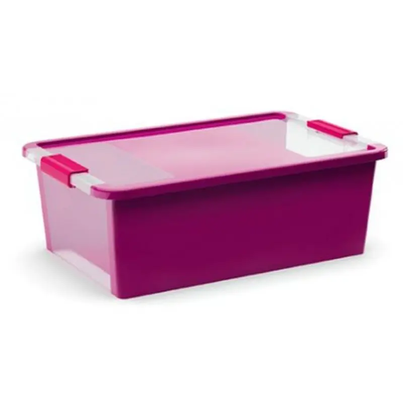 Kracherpreis KIS BI BOX M 26L 55x35x19cm lila/transparent