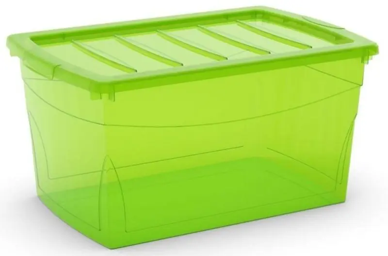 KIS OMNI BOX L 50L 58,5x39x30cm grün Markenprodukt