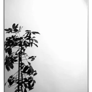 Bestpreis sanibel 1001 Spiegel rechteckig A21 700x500mm ohne Befestigung