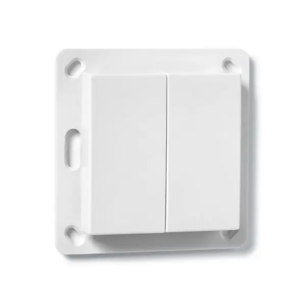 Wandtaster 2-fach Q-Wave Format 55 Knallerangebot