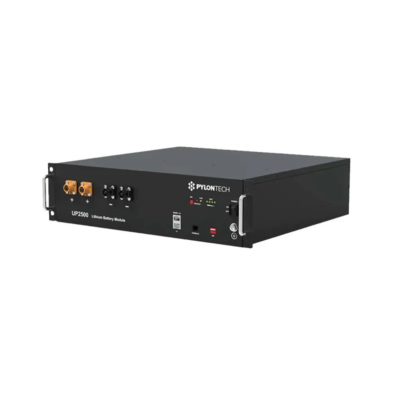 Pylontech UP2500 2,8kWh 24V Mengenrabatt Lithium-Batterie mit BMS Mega-Angebot
