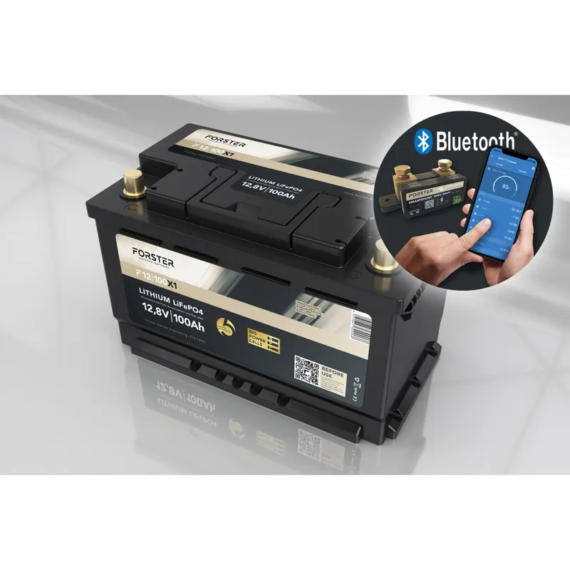 FORSTER 100Ah 12,8V LiFePO4 Premium Untersitz-Batterie 200A-BMS-2.1 500A Bluetooth Mess-Shunt Ducato Ford PSA VWT6 TGE 1280Wh IP67 Sichere Zahlung