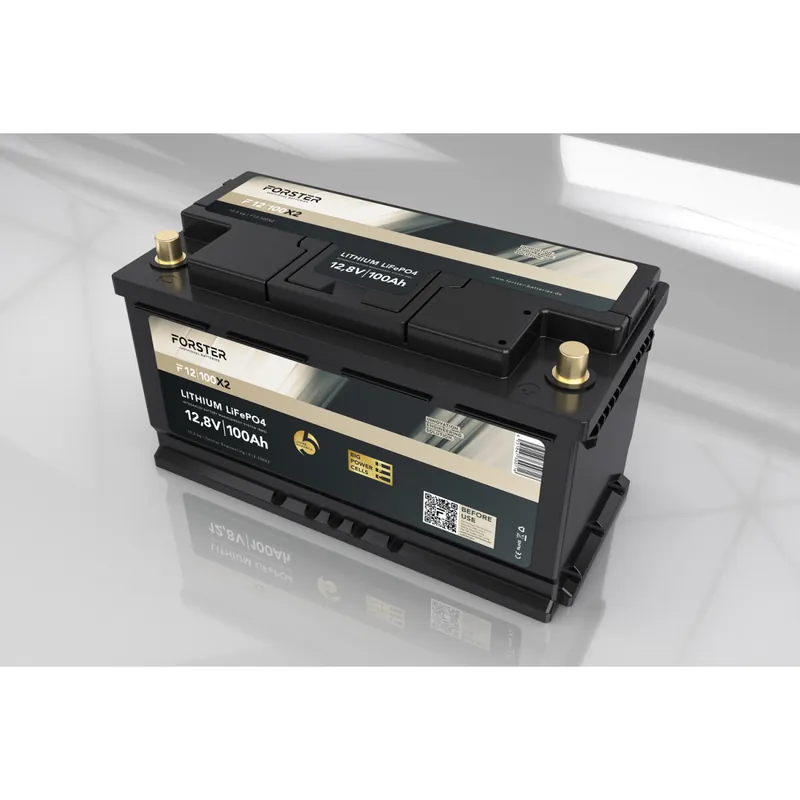 FORSTER 100Ah 12,8V LiFePO4 Premium Untersitz-Batterie 200A-BMS-2.1 Ducato Ford PSA TGE 1280Wh IP67 Sale