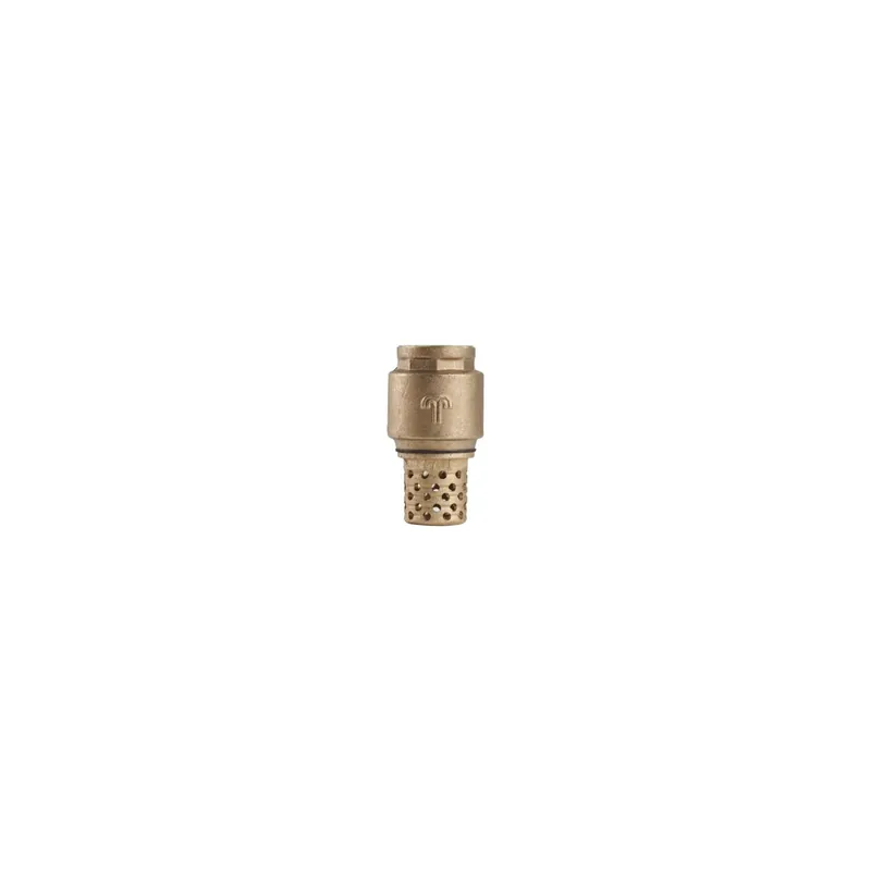 Günstig Tuxhorn Fußventil -Saugkorb Guß Fig. 412 DN25, G1