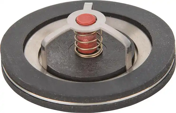 Billig TopInset Schwerkraftbremse Typ 73 DN40 1 1/2"