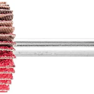 Fächerschleifer Pferd F, Ø 30 x 10 mm, Schaft-Ø 6 mm, Körnung A 60 Garantierte Lieferung