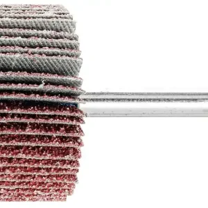 Zertifiziert Fächerschleifer Pferd F, Ø 40 x 20 mm, Schaft-Ø 6 mm, Körnung A 40