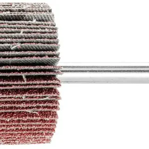 Schneller Versand Fächerschleifer Pferd F, Ø 40 x 20 mm, Schaft-Ø 6 mm, Körnung A 60