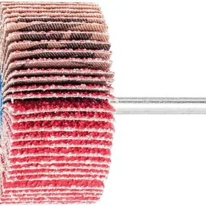 Günstig Fächerschleifer Pferd F, Ø 60 x 30 mm, Schaft-Ø 6 mm, Körnung A 40