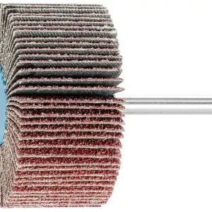 Fächerschleifer Pferd F, Ø 60 x 30 mm, Schaft-Ø 6 mm, Körnung A 40 Wochenendangebot