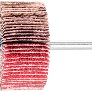 Nur Für Kurze Zeit Fächerschleifer Pferd F, Ø 60 x 30 mm, Schaft-Ø 6 mm, Körnung A 60
