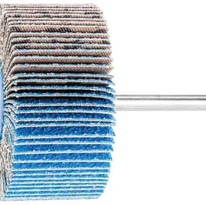 Preisknaller Fächerschleifer Pferd F, Ø 60 x 30 mm, Schaft-Ø 6 mm, Körnung A 60