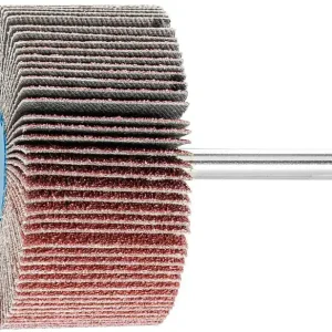 Direktkauf Fächerschleifer Pferd F, Ø 60 x 30 mm, Schaft-Ø 6 mm, Körnung A 60
