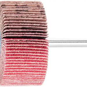 Fächerschleifer Pferd F, Ø 60 x 30 mm, Schaft-Ø 6 mm, Körnung A 80 Markenprodukt